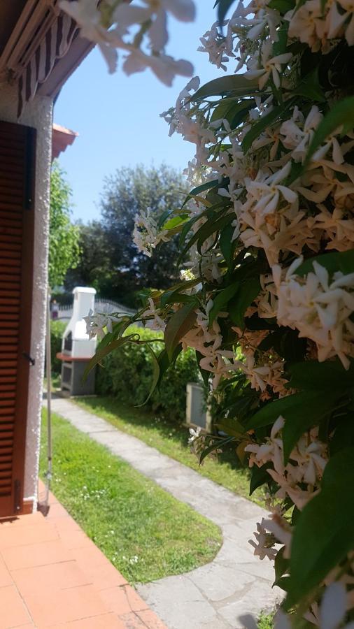 Villetta Cinquale Versilia Bagian luar foto