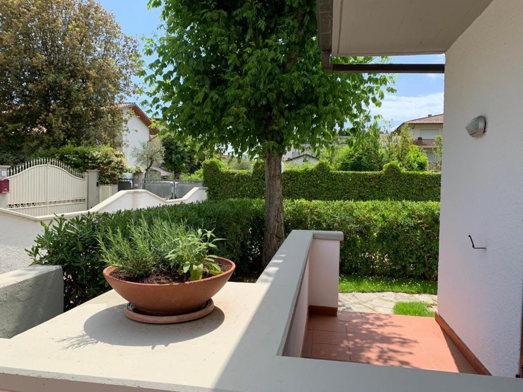 Villetta Cinquale Versilia Bagian luar foto